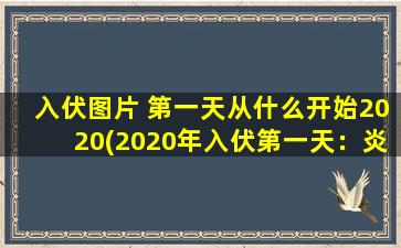 入伏图片 第一天从什么开始2020(2020年入伏第一天：炎热天气即将来袭)